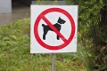 Kutya gyalogos platform - normák és szabályok